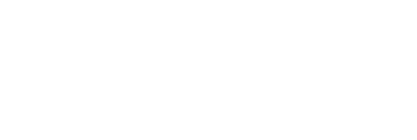 SEYSES University